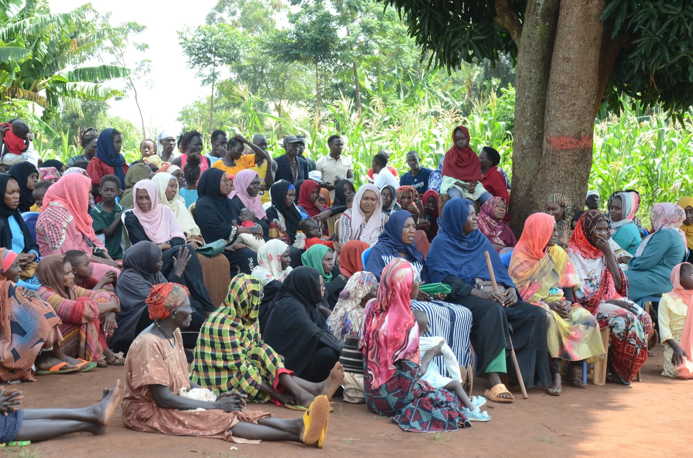 A large gathering of community members seated outdoors beneath a tree